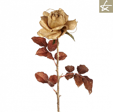 Цветок Розы